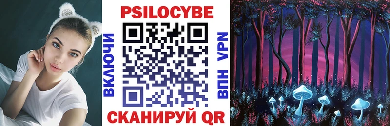 Псилоцибиновые грибы Cubensis  где купить наркоту  Кирово-Чепецк 